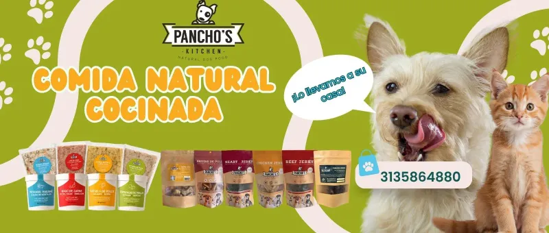 Foto de PANCHOS KITCHEN