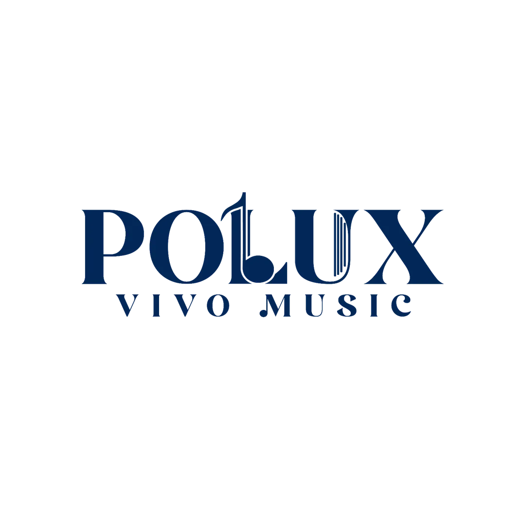 Foto de Polux Vivo Music